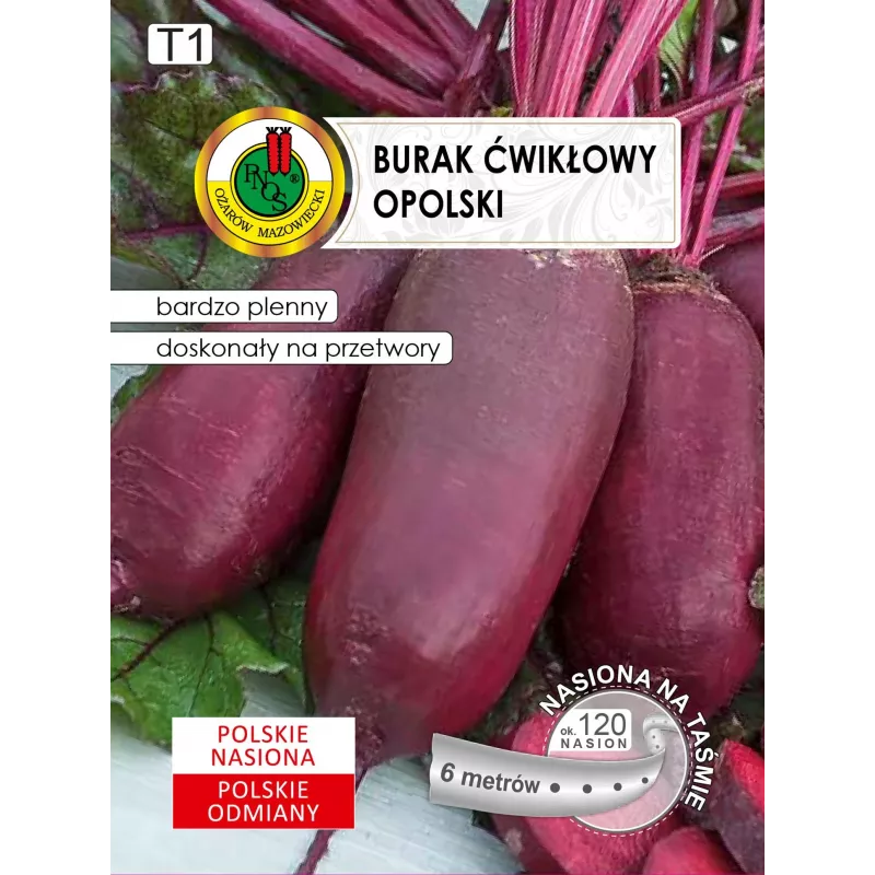 Taśma nasienna — Burak ćwikłowy (czerwony) Opolski cylindryczny Apte, rolka 6 m, gotowa do siewu