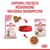 Mokra karma dla kota Royal Canin Sterilised Gravy, 12 x 85 g saszetek — kurczak, dla kastrowanych/wysterylizowanych kociąt, 11% białka, 80,5% wilgotności