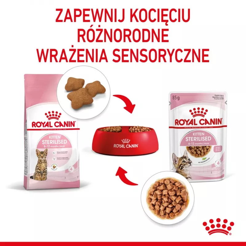 Mokra karma dla kota Royal Canin Sterilised Gravy, 12 x 85 g saszetek — kurczak, dla kastrowanych/wysterylizowanych kociąt, 11% białka, 80,5% wilgotności