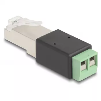 DeLOCK adapter wtyk RJ45 na blok zaciskowy 2-pin 66604 Czarny Zielony