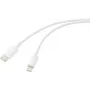 Kabel USB Renkforce USB 2.0 wtyk USB-C®, wtyk Apple Lightning 1,00 m biały (matowy) RF-5724078 (RF-5724078)
