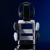Numskull Games PS5 Inspired Gaming Locker, dyskietka na gry, PlayStation 5, Grau, przewodowy, 1 szt.
