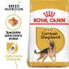 Sucha karma dla psa Royal Canin German Shepherd Adult, 11 kg — duża rasa, drób, 24% białka, 19% tłuszczu