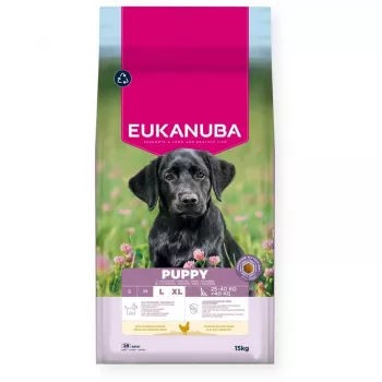 Sucha karma dla psa EUKANUBA Puppy Large Chicken 15 kg — formuła dla szczeniąt ras dużych i olbrzymich, 26,5% białka