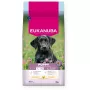 Sucha karma dla psa EUKANUBA Puppy Large Chicken 15 kg — formuła dla szczeniąt ras dużych i olbrzymich, 26,5% białka