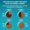 PURINA One Bifensis Sterilcat Wołowina - sucha karma dla kota - 800 g