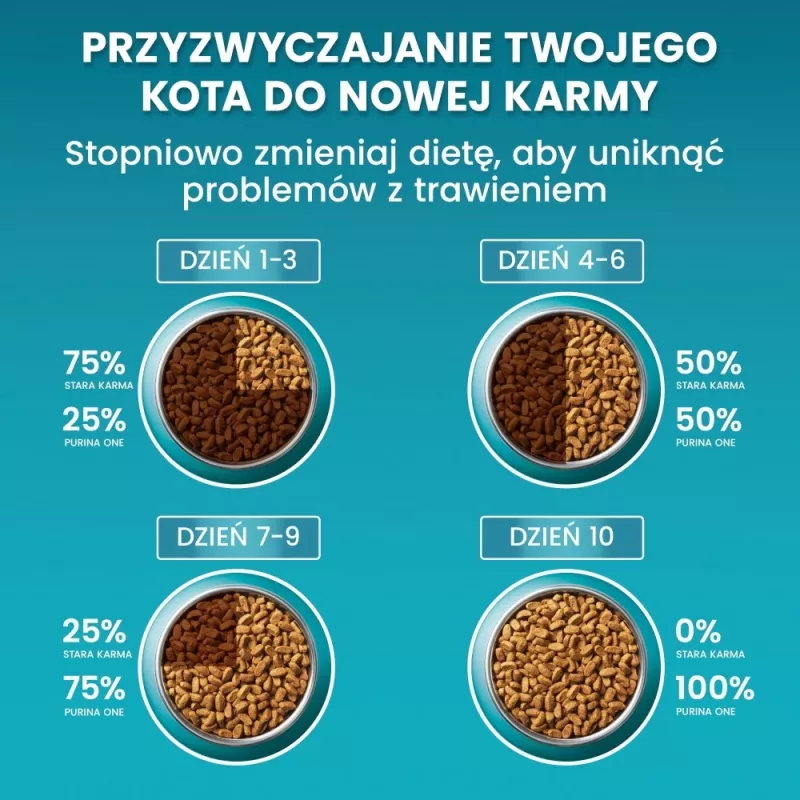 PURINA One Bifensis Sterilcat Wołowina - sucha karma dla kota - 800 g