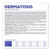VET EXPERT Veterinary Diet Dermatosis Dog Salmon & Potato - sucha karma dla psów - 2 kg