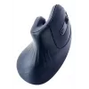 Mysz Gembird MUSW-ERGO-03 domowa praworęczna RF bezprzewodowa optyczna 1600 DPI