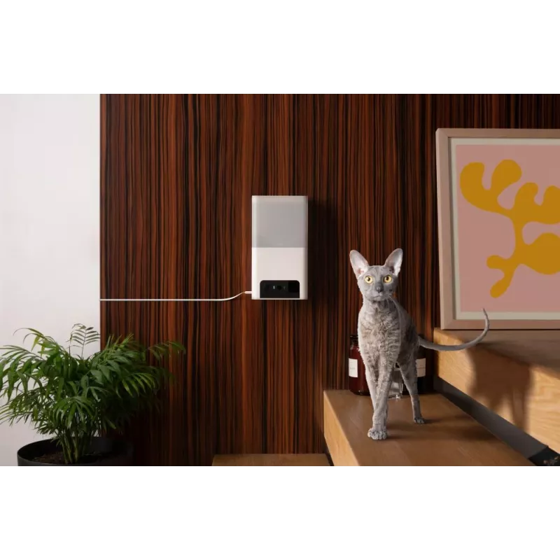 Petcube Camera Bites 2 Lite/BL10US