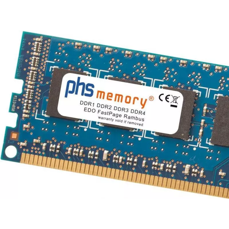 Moduł pamięci Phs-memory SP501290