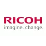 Ricoh D1369680 (D136-9680) Wywoływacz żółty (SPEC)