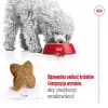 ROYAL CANIN Adult Mini S - sucha karma dla psów - 4kg