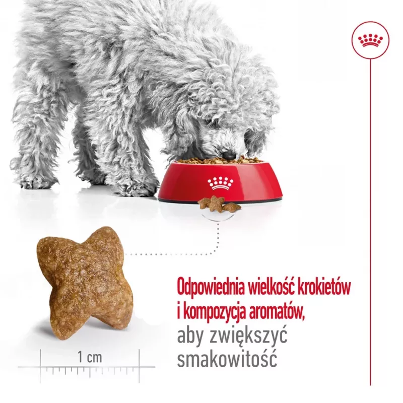 ROYAL CANIN Adult Mini S - sucha karma dla psów - 4kg