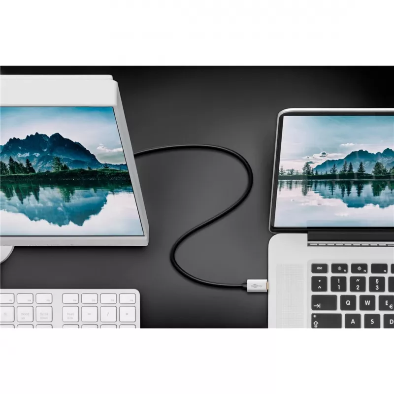 Goobay | Przewód adaptera USB-C na DisplayPort | 60176 | Type-C | DisplayPort | USB-C na DisplayPort | 2 m