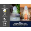 Parowar elektryczny Beper P201UTP124 2-poziomowy 800 W, blatowy przyrząd do gotowania