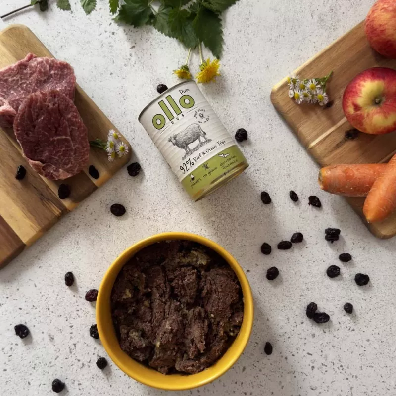 Mokra karma dla psów OLLO Pure Beef and zielony Tripe 400 g puszka — dla dorosłych, białko 14,5%, tłuszcz 11,9%, wilgotność 69%