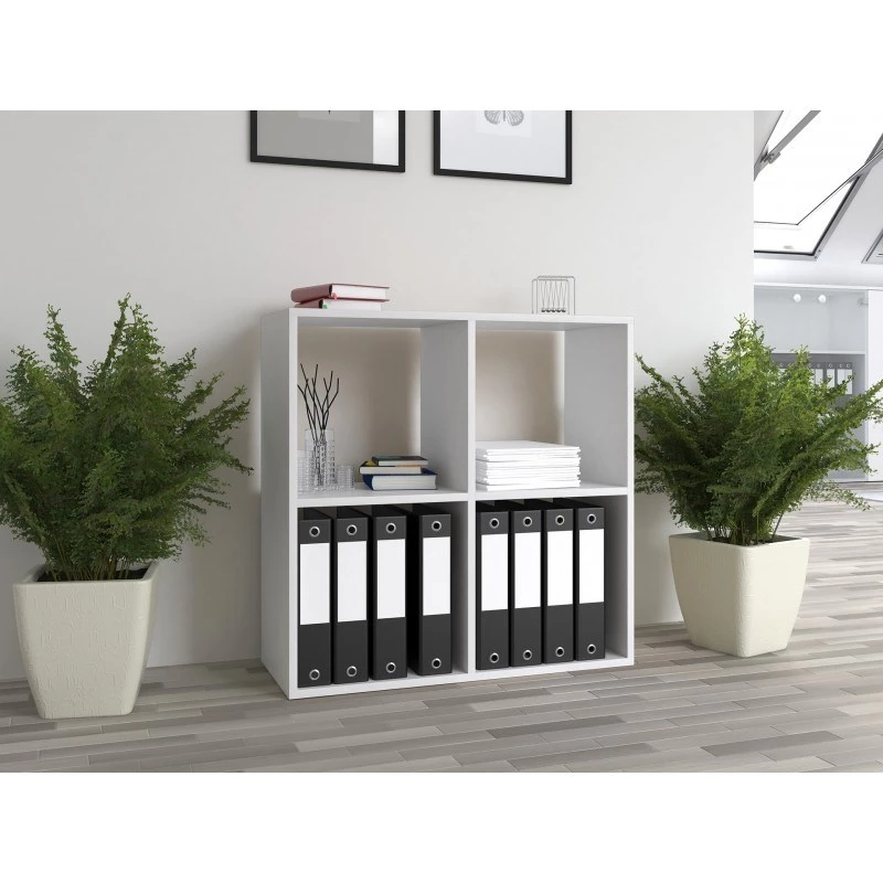 Regał do salonu Topeshop MALAX 2X2 BIEL
