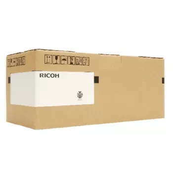 Ricoh RI 1000 Type G1 Wysoka wydajność (342782) Wkład z tuszem do odzieży, żółty