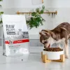 Sucha karma dla psa VETEXPERT RAW PALEO Ultra Mini Puppy Beef 750 g — bezzbożowa, białko 30,5%, tłuszcz 16,5% dla małych ras (5–10 kg)