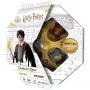 Harry Potter Wizard Quiz, gra quizowa