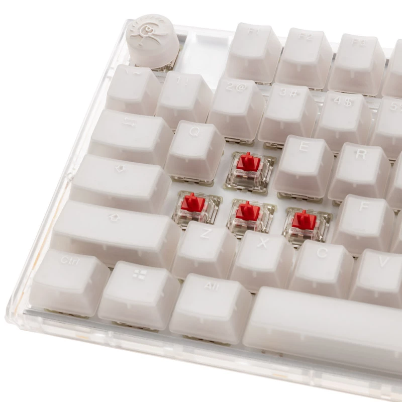 Ducky One 3 TKL klawiatura Gaming USB QWERTY angielska biała