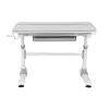 Ergo Office Children's Ergonomic Height Adjustable Desk, szary, max 100kg, ER-417 2cz