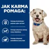 HILL'S Prescription Diet Diabetes Care Chicken - mokra karma dla psa - 370g