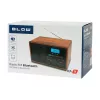 Przenośne radio analogowe AM/FM BLOW RA9 V.2 — odbiór AM i FM, zasilanie bateryjne, strojenie analogowe