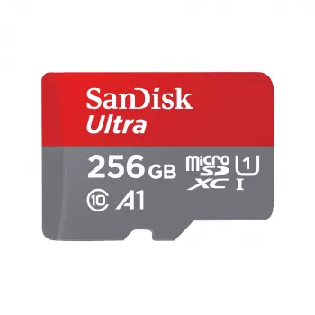 Pamięć flash SanDisk 256 GB MicroSDXC UHS-I SDSQUNR-256G-GN6TA