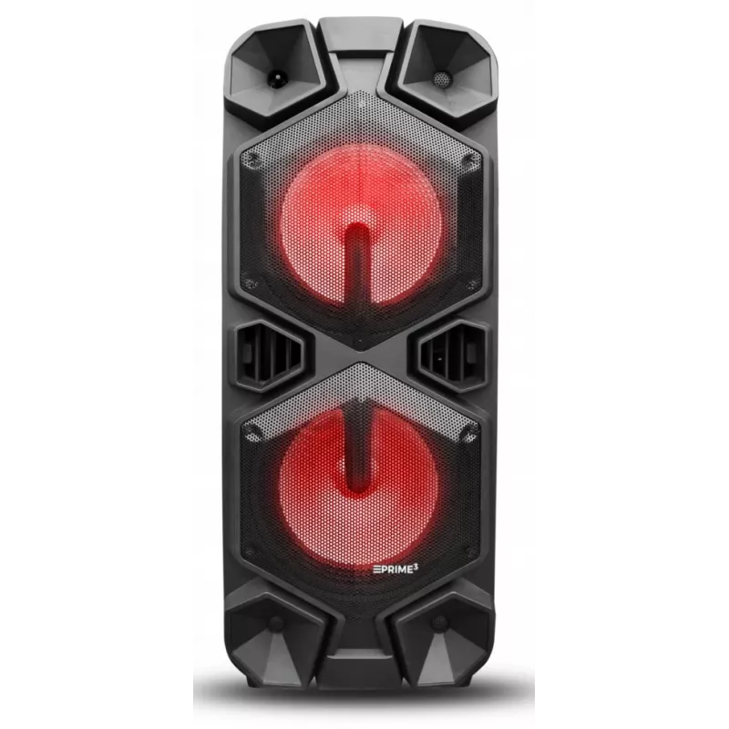 Głośnik przenośny APA24 Bluetooth Karaoke, czarny
