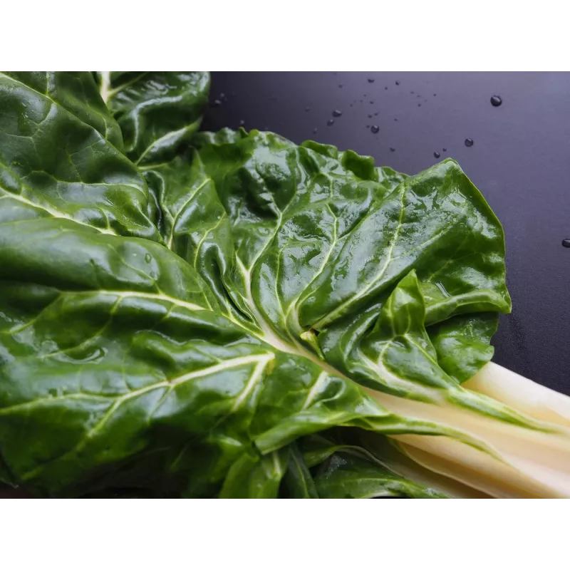 Nasiona warzyw Lucullus Leaf Beet Toraf, opakowanie 5 g