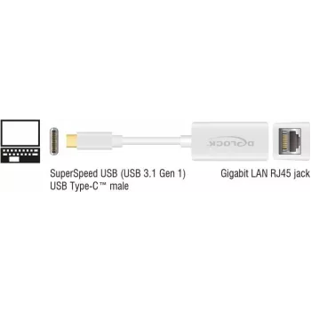 DeLOCK 65906 Adapter USB Type-C na Gigabit LAN, biały