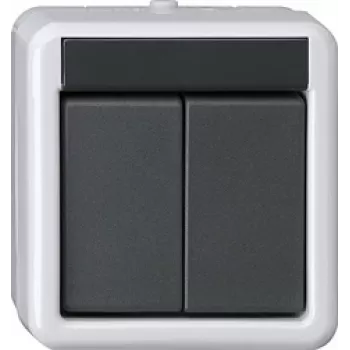 GIRA przycisk KNX BA 2-krotny szary AP 2Punkt 516230 (516230)