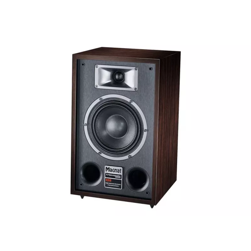 Magnat TRANSPULS 800A 2-drożny głośnik podłogowy przewodowy i bezprzewodowy 2×60 W, Bluetooth 5.0, HDMI, Czarny/Brązowy
