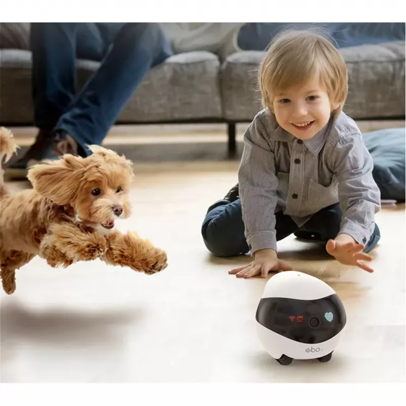 Enabot EBO SE Robot IP Camera Kompaktowa N/A MP N/A 16GB pamięć zewnętrzna, obsługa do 256GB