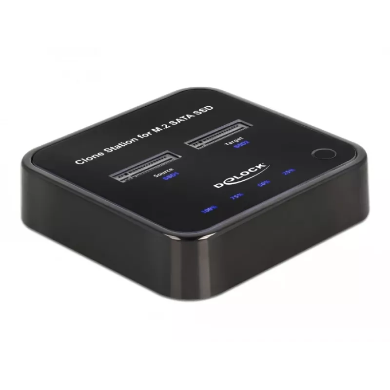 DeLOCK 64178 Stacja dokująca USB 3.2 Gen 2 Typu C SSD M.2
