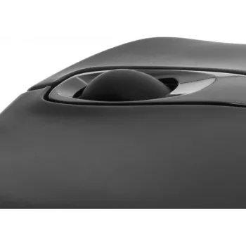 Pedea 60030013 Czarny