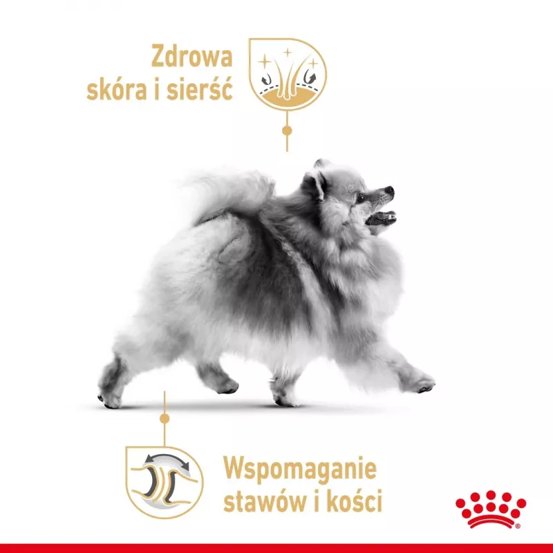 Sucha karma dla psa Royal Canin Pomeranian Adult 3 kg — formuła dla małych ras, dla dorosłych pomeranianów