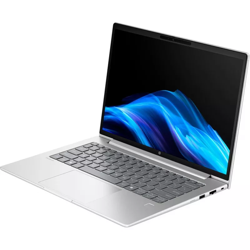 Probook 4 G1a (C07P4ES), Notebook srebrny, AMD Ryzen 5 230, AMD Radeon 760M, 16 GB DDR5, 512 GB (512 GB SSD), Windows 11 Pro