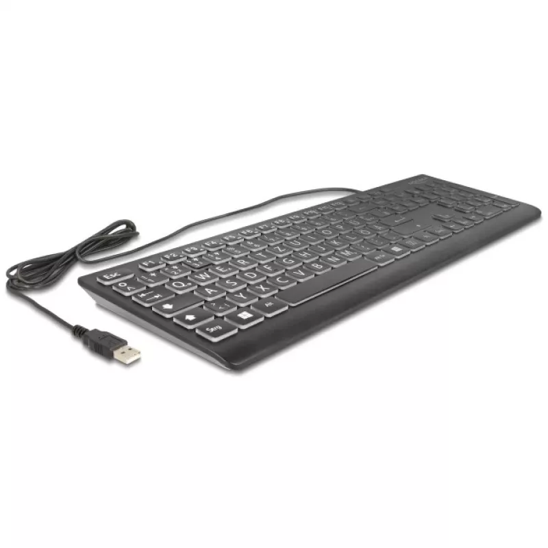 DeLOCK 12170 Klawiatura Uniwersalna USB QWERTZ Niemiecka Czarna Mechaniczna RGB