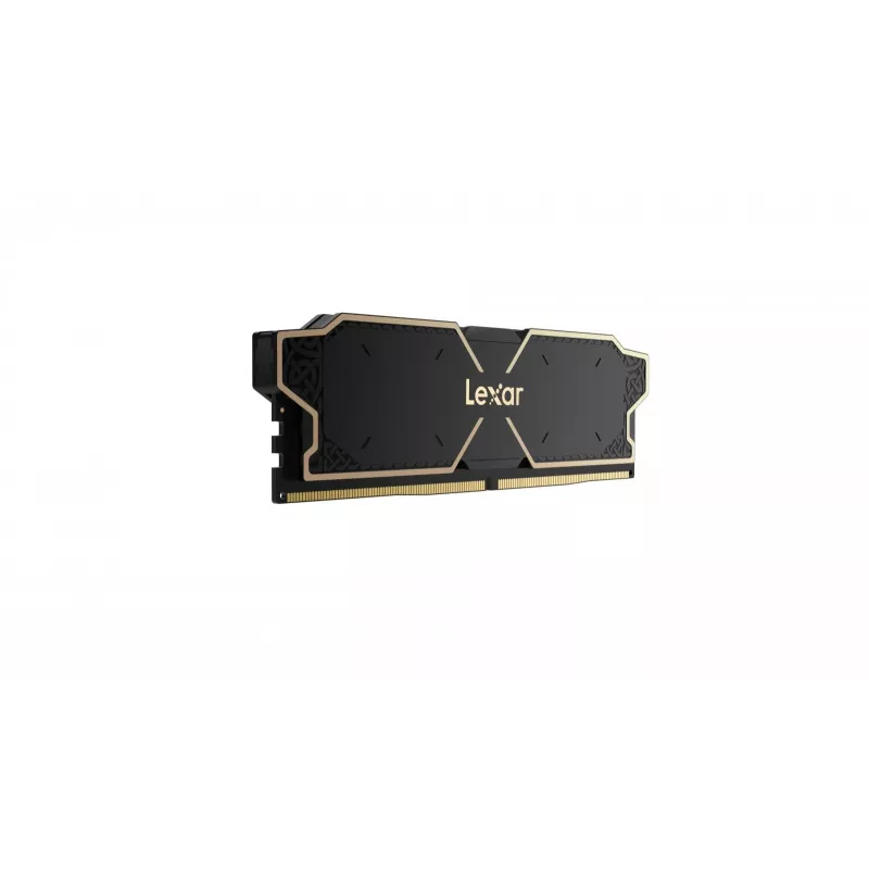 Lexar LD5U08G60C38LG-RGD Memory Module