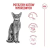 Sucha karma dla kota Royal Canin Exigent Fussy 2 kg