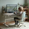 Ergo Office Children's Ergonomic Height Adjustable Desk, szary, max 100kg, ER-417 2cz