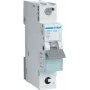 Hager MBS106. Prąd znamionowy: 6 A, Częstotliwość wejściowa AC: 50/60 Hz. Typ: B, Maksymalna liczba modułów: 1 moduł. Szerokość: 17,5 mm, Głębokość: 70 mm, Wysokość: 83,4 mm (MBS106)