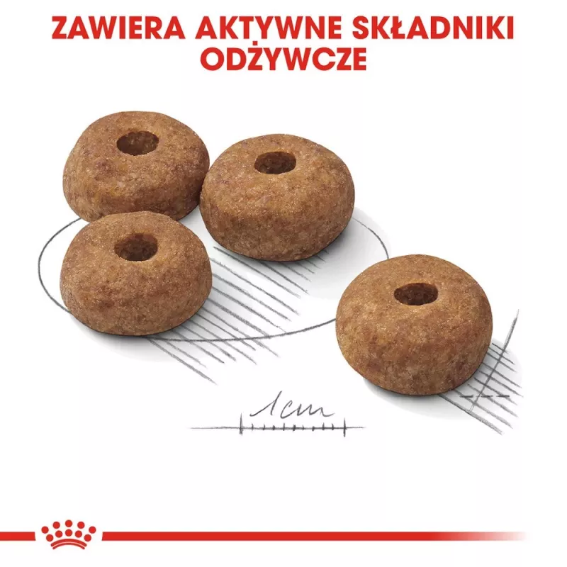 ROYAL CANIN Medium Sterilised sucha karma dla psów - 3 kg