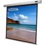 CELEXON Screen Motor Economy 240x240 cm z panelem sterowania i pilotem IR czarna ramka i tylna strona Gain 1.2 (1090068)