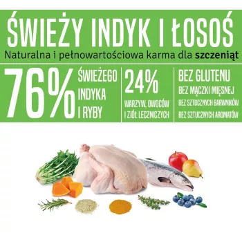 ARQUIVET Fresh Puppy Turkey and Salmon - półwilgotna karma dla psów - 10kg