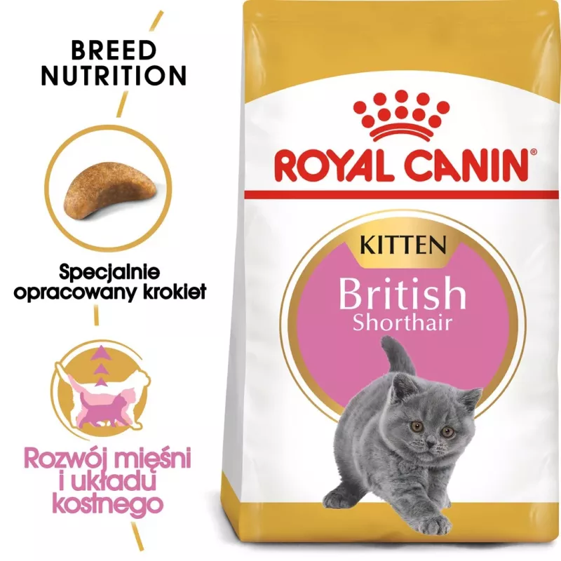 Sucha karma dla kota Royal Canin British Shorthair Kitten 2 kg – kurczak, 38% białka, 20% tłuszczu, formuła wzrostu