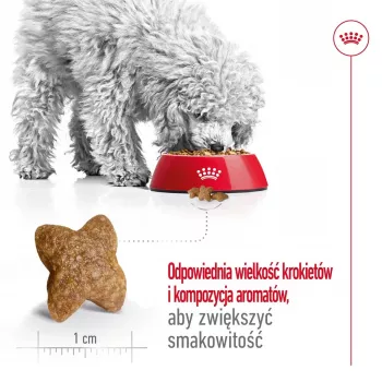 Sucha karma dla psa Royal Canin Adult Mini S 8 kg — kompletne żywienie dla małych dorosłych psów